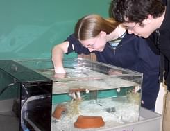 Photo: Hand-feeding the anemone