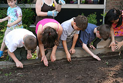 French Road students planting flower and vegetable seeds